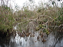 dsc00595